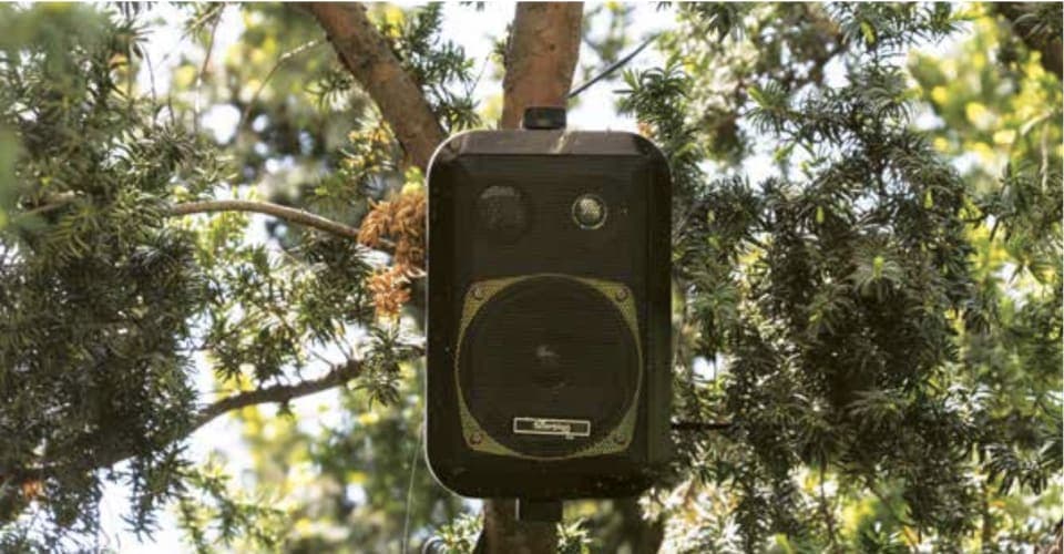 12 Bienal de Artes Mediales secondary image