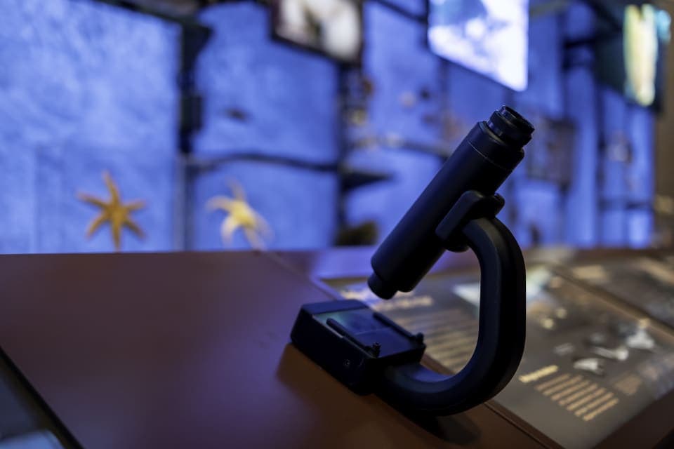 Recursos Audiovisuales image